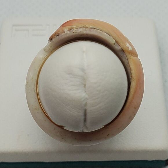 Carved Shell Feather Ring - Picture 4 of 5